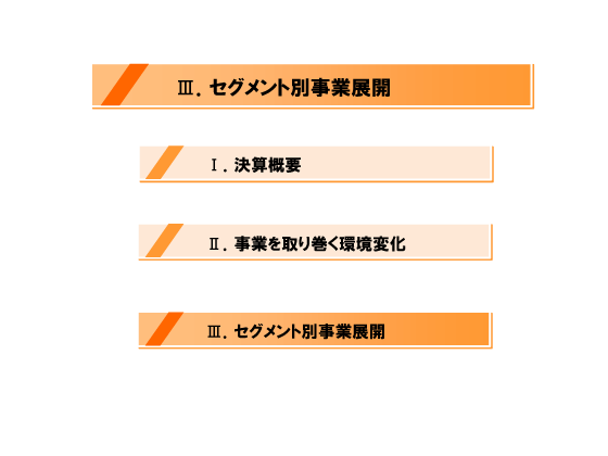 [3]セグメント別事業展開